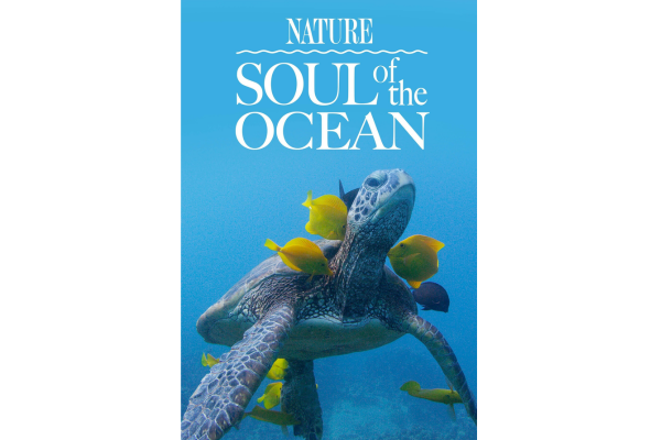 Movie poster, soul of the Ocean. Sea Turtle in the sea. 
