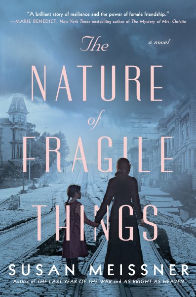 cover of the book The Nature of Fragile things