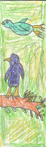 purple and green bird with a green background