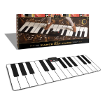 Giant Dance Mat Piano