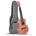 Ukulele Instrument and Case