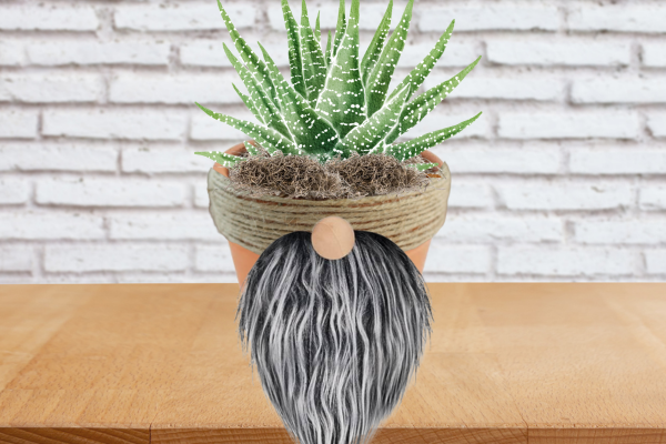 Gnome Planter