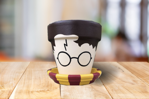 Harry Potter Planter